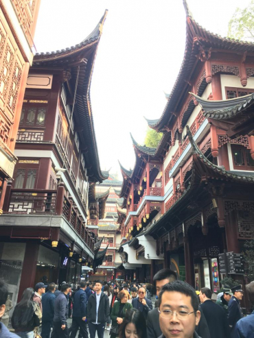 şangay - gokgezgin-Wm3IN