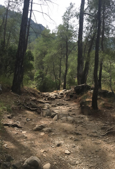 yanartaş - turuncuyolcu-Sg6OK